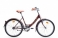 Велосипед Аист Jazz 1.0, 24", коричневый